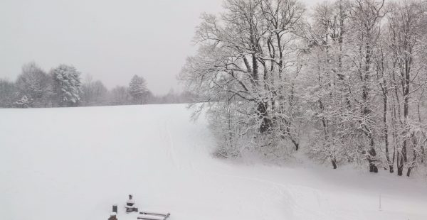 Salzburg Schnee 1 AK Lesch(1)